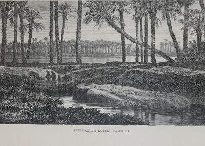 Bild Nr.4: 142-2212 Ebers,G.: (Afrika, Ägypten)
