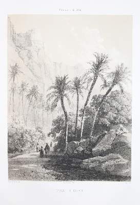 Bild Nr.3: 142-2229 Lottin de Laval,(V.).: (Asien, Arabien)