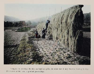 Bild Nr.3: 142-2240 Takagi,T.: (Asien, Japan)
