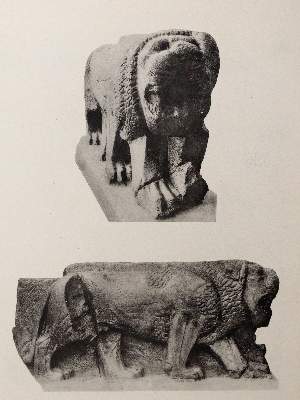 Bild Nr.4: 142-2252 Dussaud,R. u.a.: (Asien, Syrien)