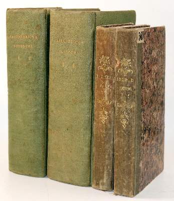 Bild Nr.4: 142-2499 (Schweickhardt,F.X.J.).: (Österreich)