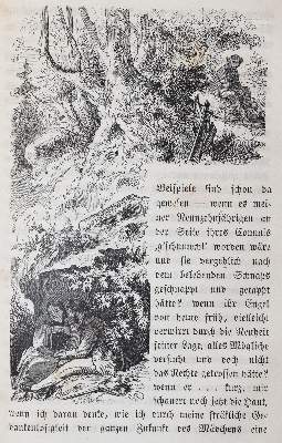 Bild Nr.4: 142-2527 Halder,A.: (Schweiz)