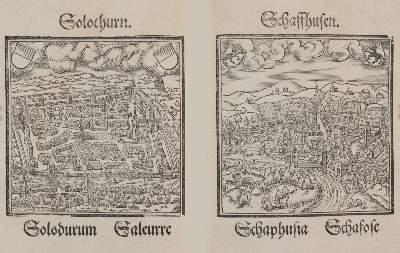 Bild Nr.7: 142-2528 Loriti,H.: (Schweiz)