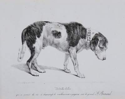 Bild Nr.4: 142-2644 Souvenirs de Suisse, d'Allemagne et de France (Einbandtitel).: (Verschiedene Länder - Geschichte)