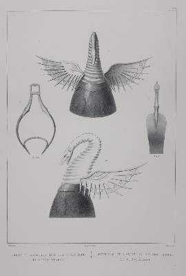 Bild Nr.21: 142-2646 Jubinal,A.: (Verschiedene Länder - Geschichte, Spanien)