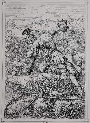 Bild Nr.3: 142-2663 Ziegler,A.: (Verschiedene Länder - Varia)