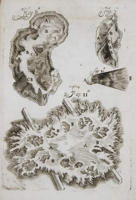 Bild Nr.1: 142-27 Bellini,L.: (Alte Drucke, Handschriften und Theologie)