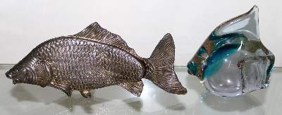 Bild Nr.12: 142-2704 Gliederfische, Silberfische: (Varia, Fisch)