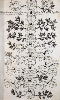 Bild Nr.4: 142-29 Berghauer,J.T.A.: (Alte Drucke, Handschriften und Theologie)