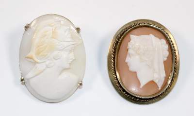 Bild Nr.1: 142-2965 Muschelkammeen: (Schmuck, Kameen)