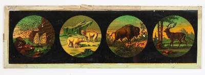 Bild Nr.3: 142-3030 Graphoskop, Steroskop.: (Varia)
