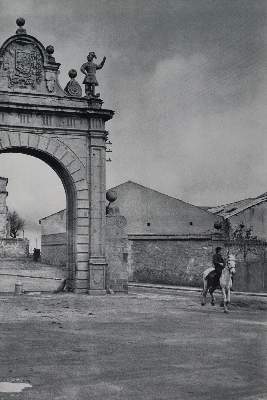 Bild Nr.4: 142-3040 Cartier-Bresson,H.: (Photographie)