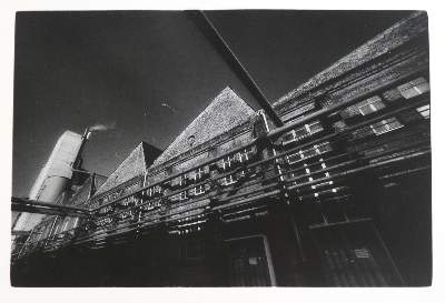 Bild Nr.23: 142-3058 Kiess, Stefan: (Photographie)