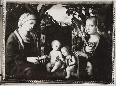 Bild Nr.3: 142-3083 Alinari Brüder, zugeschrieben.: (Rom)