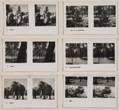 Bild Nr.1: 142-3086 Sammlung: (Photographie)