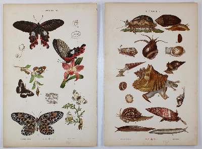 Bild Nr.5: 142-3098 Arts aus moyen age, Les.: (Varia)
