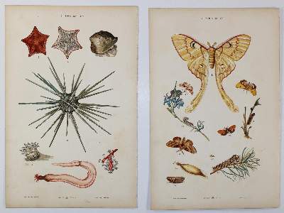 Bild Nr.6: 142-3098 Arts aus moyen age, Les.: (Varia)