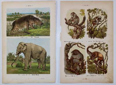 Bild Nr.7: 142-3098 Arts aus moyen age, Les.: (Varia)