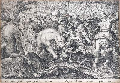 Bild Nr.1: 142-3140 Elephantenjagd.: (Varia, Jagd)