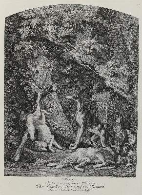 Bild Nr.1: 142-3141 Ridinger,E.J.: (Varia, Jagd, Füchse)