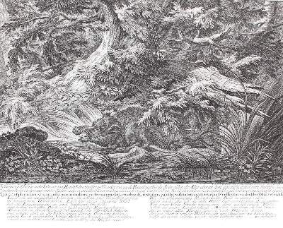Bild Nr.4: 142-3144 Jagdkunst.: (Varia, Jagd, Ridinger)