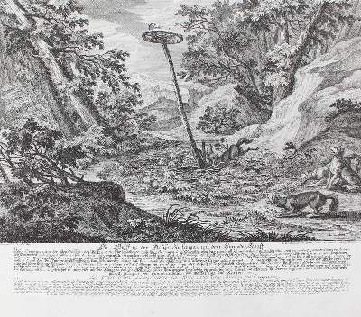 Bild Nr.2: 142-3146 Wolfsjagd.: (Varia, Jagd, Ridinger)