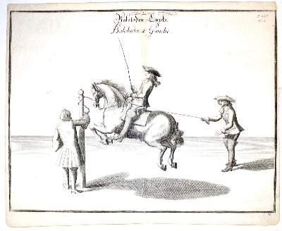 Bild Nr.2: 142-3187 Reitschule: (Varia, Reitsport)