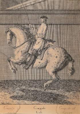 Bild Nr.1: 142-3199 Ridinger, Johann Elias (1698-1767).: (Varia, Sport, Reitsport)