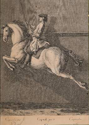 Bild Nr.2: 142-3199 Ridinger, Johann Elias (1698-1767).: (Varia, Sport, Reitsport)