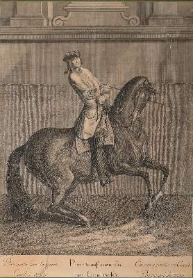 Bild Nr.3: 142-3199 Ridinger, Johann Elias (1698-1767).: (Varia, Sport, Reitsport)
