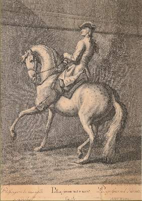 Bild Nr.4: 142-3199 Ridinger, Johann Elias (1698-1767).: (Varia, Sport, Reitsport)