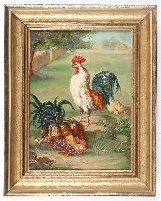 Bild Nr.10: 142-3214 Vögel.: (Varia, Zoologie)