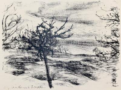 Bild Nr.2: 142-3245 Friedrichshafen.: (Deutschland)
