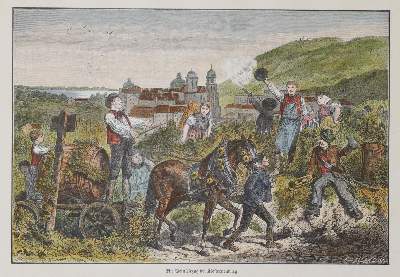 Bild Nr.21: 142-3402 Konvolut: (Ausland, Österreich)