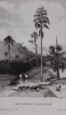 Bild Nr.3: 142-3449 Sammlung: (Ausland, Varia)