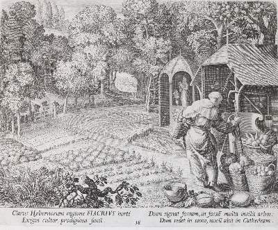Bild Nr.210: 142-349 Sadeler, Johannes und Raphael: (Alte Drucke, Handschriften und Theologie)