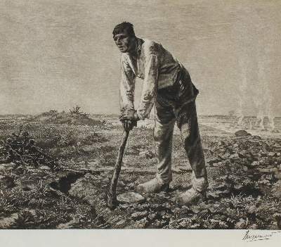 Bild Nr.1: 142-3545 Bracquemond, Felix: (Künstlergraphik)