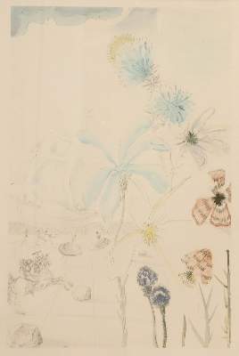 Bild Nr.1: 142-3601 Dali,Salvador: (Künstlergraphik)
