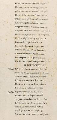 Bild Nr.22: 142-3631 Dürer, Albrecht: (Künstlergraphik)