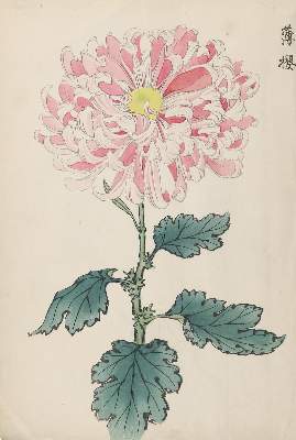 Bild Nr.1: 142-3808 Keika, Hasegawa: (Künstlergraphik, Japan)