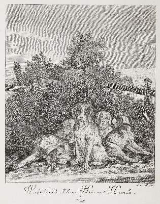Bild Nr.1: 142-4105 Ridinger, Johann Elias: (Künstlergraphik)