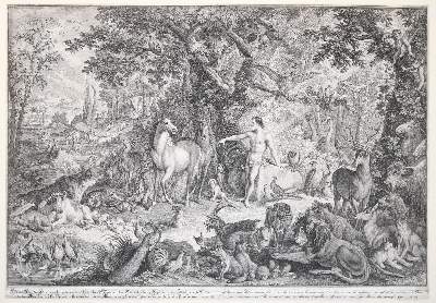 Bild Nr.2: 142-4106 Ridinger, Johann Elias: (Künstlergraphik)