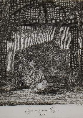 Bild Nr.2: 142-4107 Tiere.: (Künstlergraphik, Ridinger)