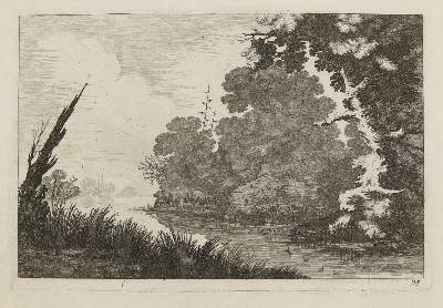 Bild Nr.11: 142-4239 Tiere und Landschaften.: (Künstlergraphik)