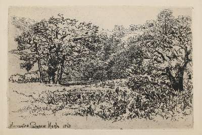 Bild Nr.8: 142-4239 Tiere und Landschaften.: (Künstlergraphik)