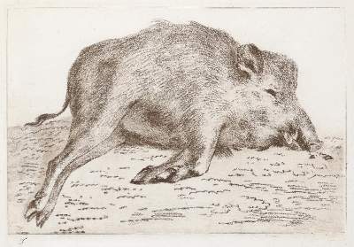Bild Nr.21: 142-4240 Tischbein, Johann Heinrich: (Künstlergraphik)