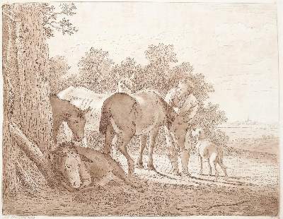 Bild Nr.22: 142-4240 Tischbein, Johann Heinrich: (Künstlergraphik)