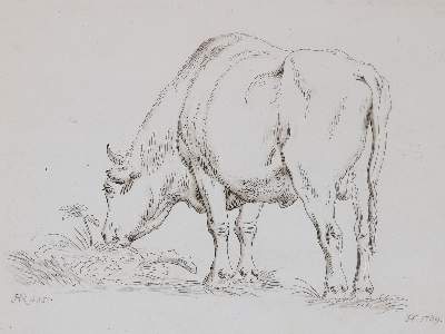 Bild Nr.412: 142-4240 Tischbein, Johann Heinrich: (Künstlergraphik)