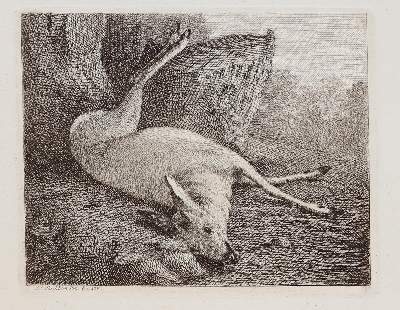 Bild Nr.414: 142-4240 Tischbein, Johann Heinrich: (Künstlergraphik)