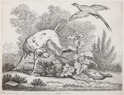 Bild Nr.418: 142-4240 Tischbein, Johann Heinrich: (Künstlergraphik)